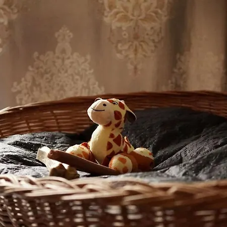 Feriehus Diekhus Comfortable