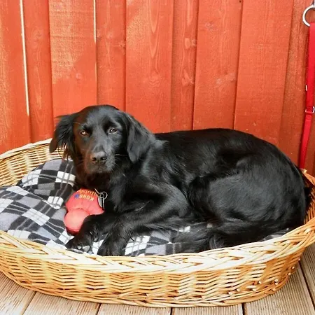 Diekhus Comfortable Ferienhaus Greetsiel